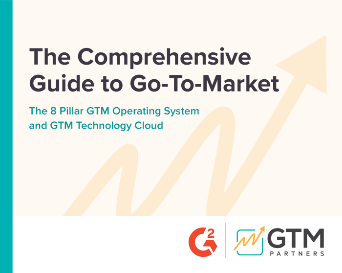 GTM-guide